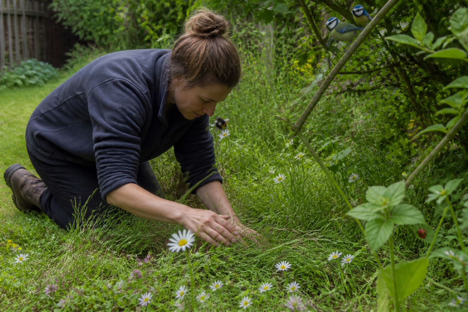 Biodiversité au jardin : gestes simples pour attirer oiseaux, abeilles et auxiliaires